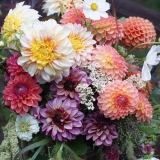 GPOD on the Road: Besuch einer Blumenfarm