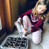 Gartentipps für den Winter – FineGardening